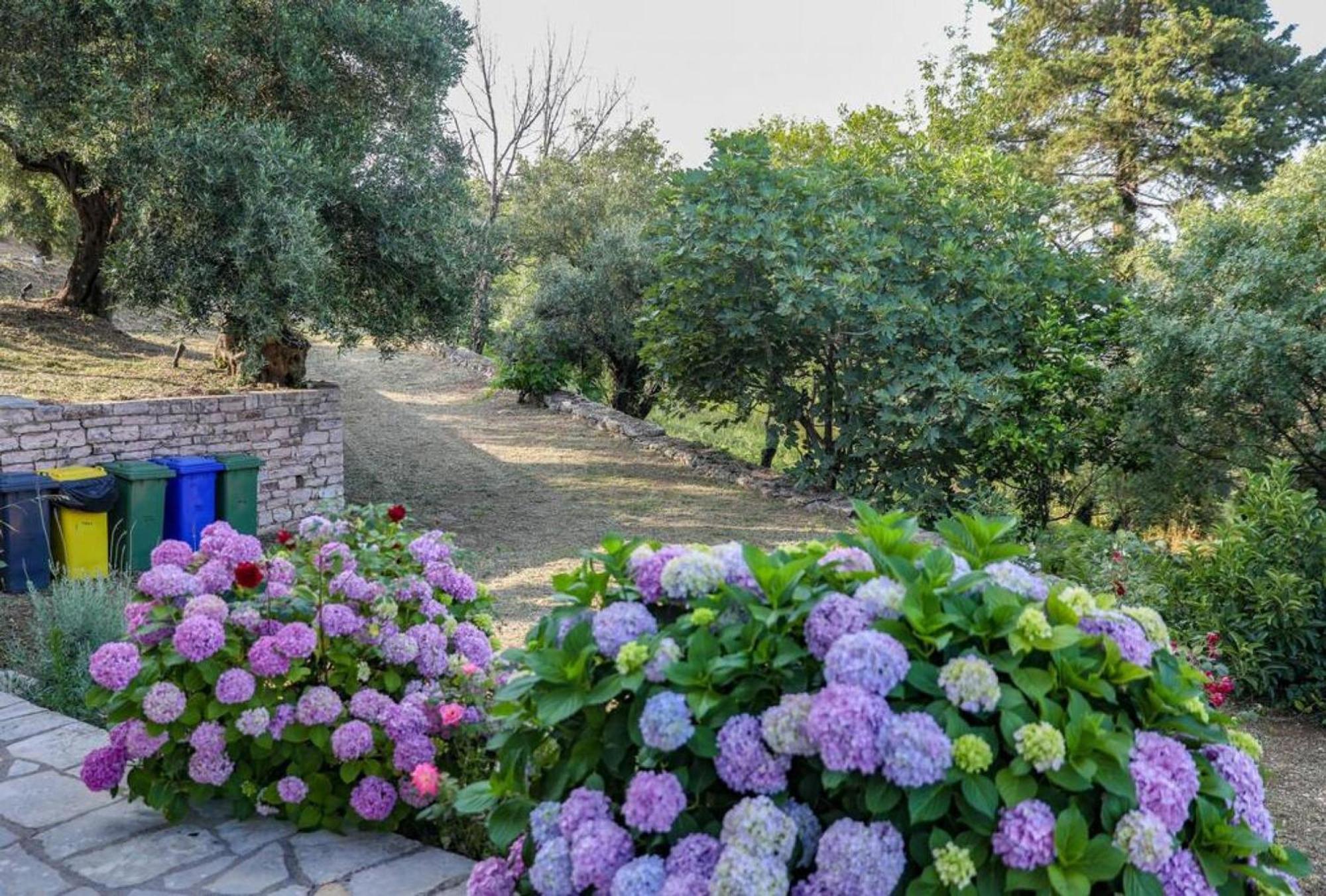 Sinies Stone Cottage - Ne Corfu Agnitsini Экстерьер фото