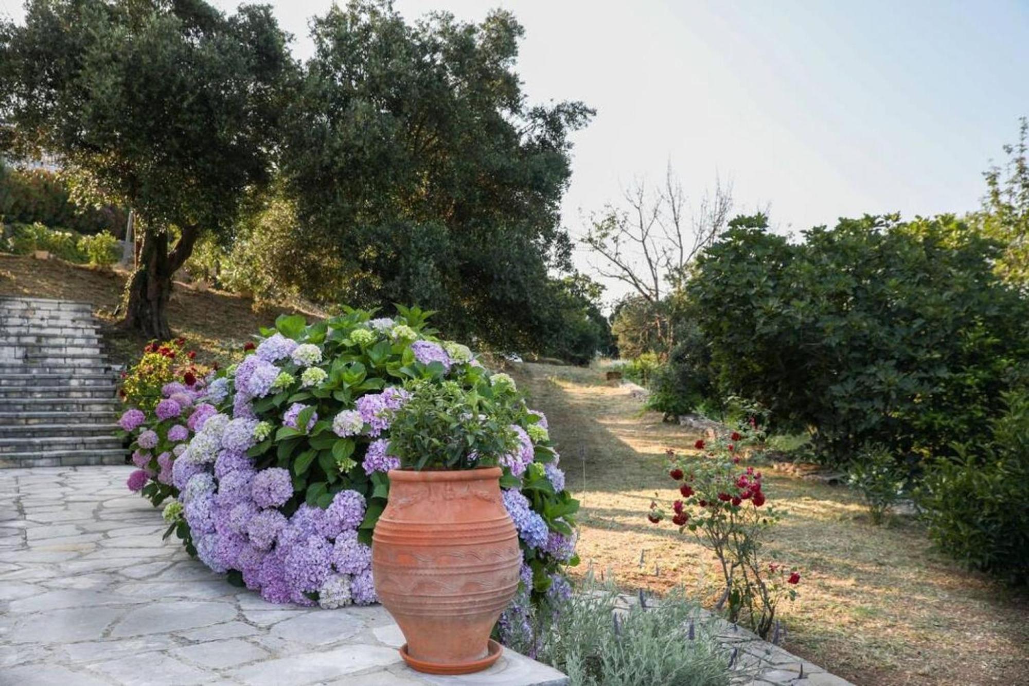 Sinies Stone Cottage - Ne Corfu Agnitsini Экстерьер фото